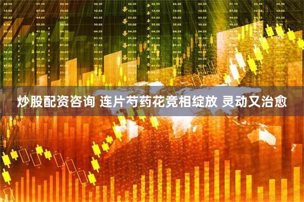 炒股配资咨询 连片芍药花竞相绽放 灵动又治愈